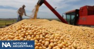 La soja supera los US$ 400 y da una señal favorable al dólar