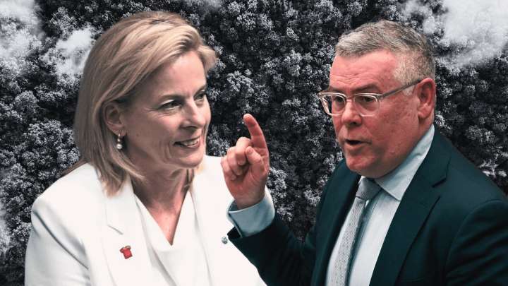 Shadow Environment Minister Angie Bell warns Labor’s $825 million environmental penalties could be too big