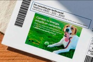 Encontraron a su perrito perdido gracias a la factura de luz: video del reencuentro