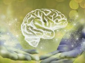 ¿Qué factores pueden detonar un trastorno o enfermedad mental?