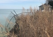 Lakewood permits lakefront property owners seeking coastal erosion control measures