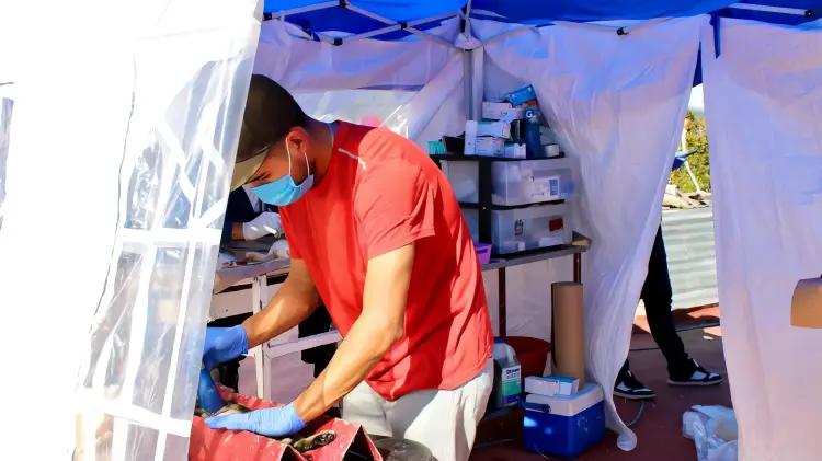 Más de 30 mascotas vacunadas y esterilizadas en Los Tápiros, Nogales