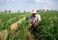 En México sólo 8 de cada 100 productores acceden a crédito: CNA