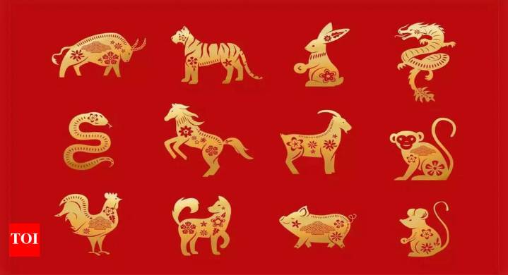 Chinese Zodiac Horoscope Today, November 8, 2025: Luck favours the brave, these zodiac signs will make powerful moves