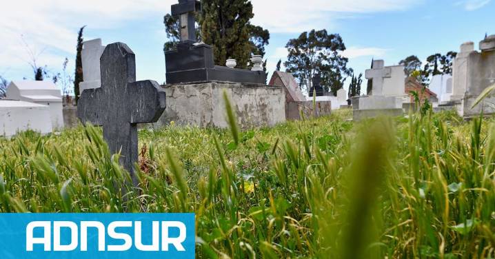 13:42 Cremaron por error los restos de una mujer fallecida en 1977 en Chubut: “Pensaron que era otra persona”