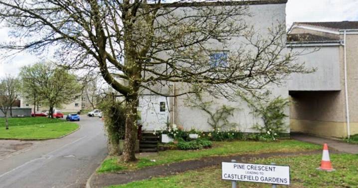 Woman hit with 'harmful substance' in horror 'targeted' attack on street