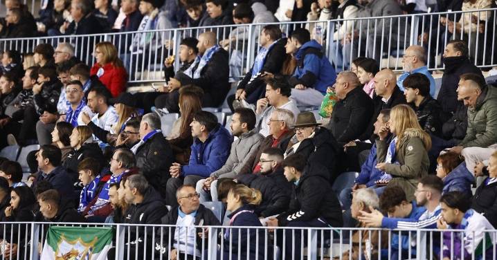 Búscate en las gradas de La Rosaleda en el Málaga CF