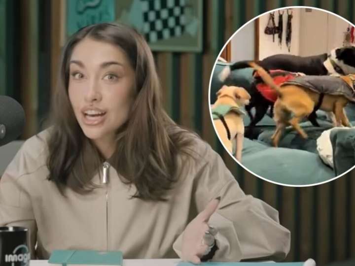 María Becerra contó cuánto dinero invierte en sus siete perros y reveló: "Van en avión privado"