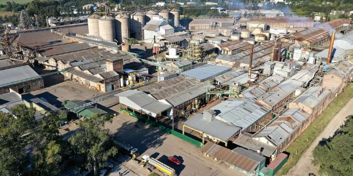 Vicentin tiene nuevo dueño: la santafesina Grassi ganó el proceso judicial y se prepara para comandar la polémica cerealera