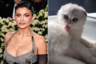 Kylie Jenner Introduces an Adorable New Kitten on Instagram