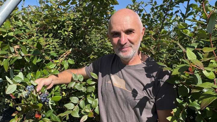 “Arándanos La Peña”, ejemplo de sostenibilidad desde Salas: 25 toneladas ecológicas y un premio nacional