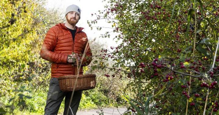Forager saves hundreds on groceries by picking food in local park
