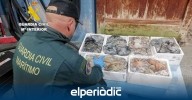 Incautan 75 kilos de pulpo inmaduro en Burriana tras un seguimiento sorpresa de la Guardia Civil