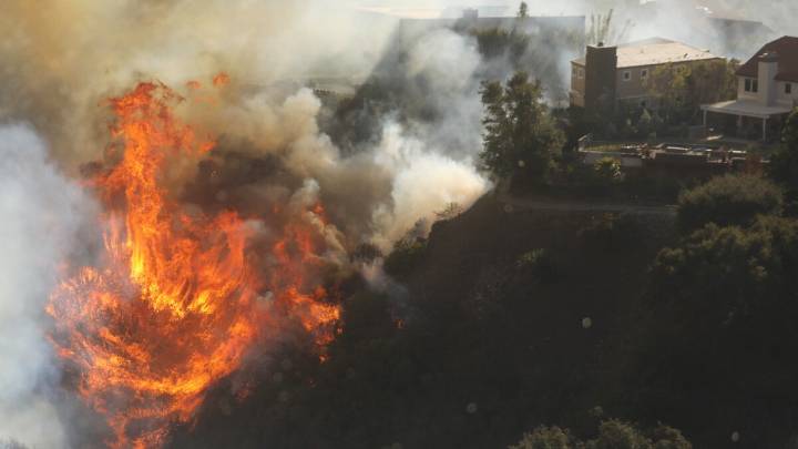 New LAFD chief says he supports probing department's handling of fire that became Palisades Fire