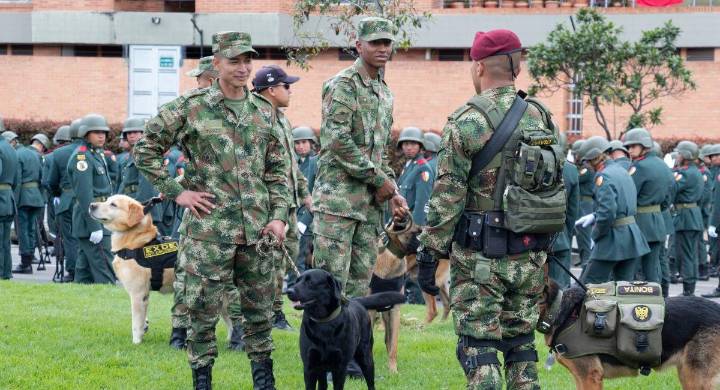 Disidencias niegan tener relación alguna con Ejército o funcionarios del Estado