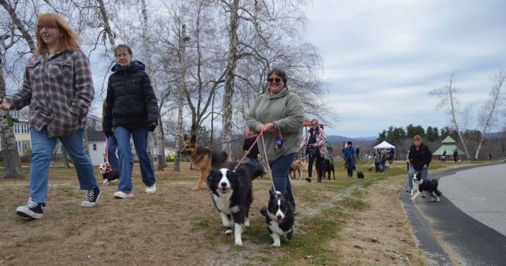 Manchester club socializes dogs, raises money for animal shelter