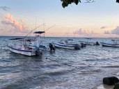 Enfrenta ‘flota turística’ crisis en Playa del Carmen; operan en un 15%