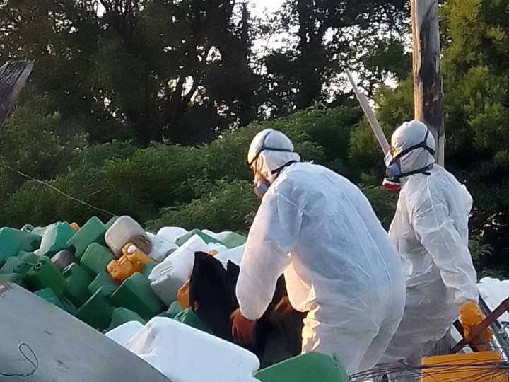 Agroquímicos: los alcances de la ordenanza