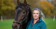 Horse breeder near 'racing HQ' baffled by noise complaint over 'constant neighing'