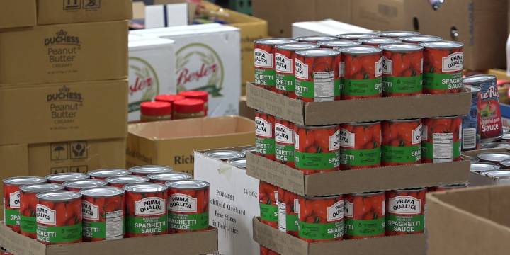 Gadsden City Council approves $15,000 for food bank amid SNAP benefit delays