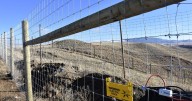 Powell County Landfill fence: Keeping the griz from the garbage and town
