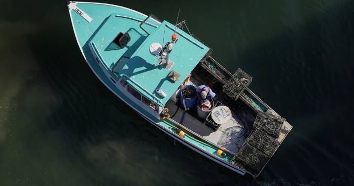 Federal appeals court upholds state's right to track location of lobstermen in federal waters