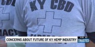 Federal THC legislation raises concerns for Ky. hemp industry