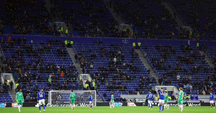 Everton supporters' actions told story as brutal Newcastle defeat leads to Man Utd irony