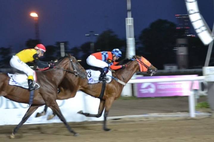 GP Dardo Rocha. Los que ya lo ganaron, el ex arquero que se anima en otro oficio y los clásicos que acompañan la tradición