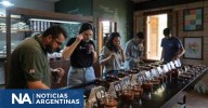 El cultivo de café florece en el estado amazónico de Brasil y  promete transformar economía local