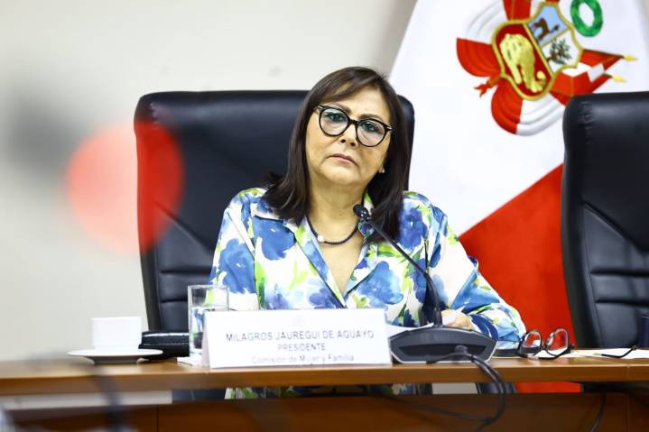 Comisión: aprueban apartar de instituciones a procesados por delitos sexuales a menores