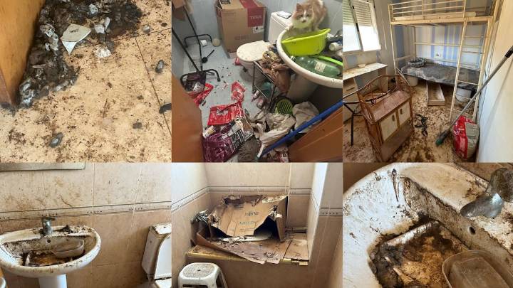 El estado nauseabundo e insalubre de una vivienda recuperada tras 5 años okupada en Moncofa: "Está todo lleno de excrementos de gato"