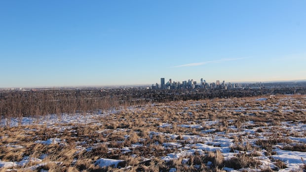 Calgary police investigating report of human remains found at Nose Hill Park