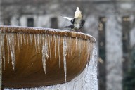 Four States Hit by Sub-Freezing Temperatures