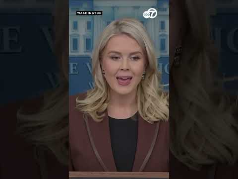 Leavitt says Trump 'kicked out' Epstein from Mar-a-Lago because he was a 'creep'