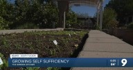 Budget cut for garden that helps SNAP users be self