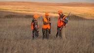 Doug Leier: Game and Fish answers common deer season
