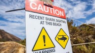 Yanchep Lagoon & Floreat Beach: Popular WA beaches shut to public after several sharks spotted off the coast