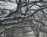 Weyburn weather station back online after data errors