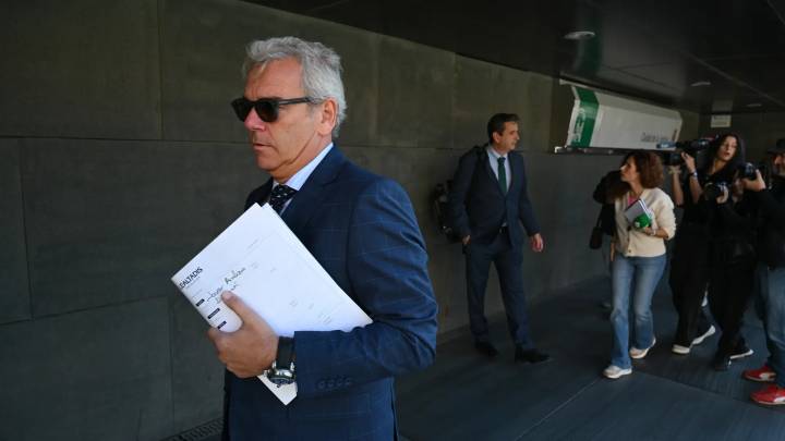 Dimite el presidente de la Diputación de Almería, implicado en el caso Mascarillas