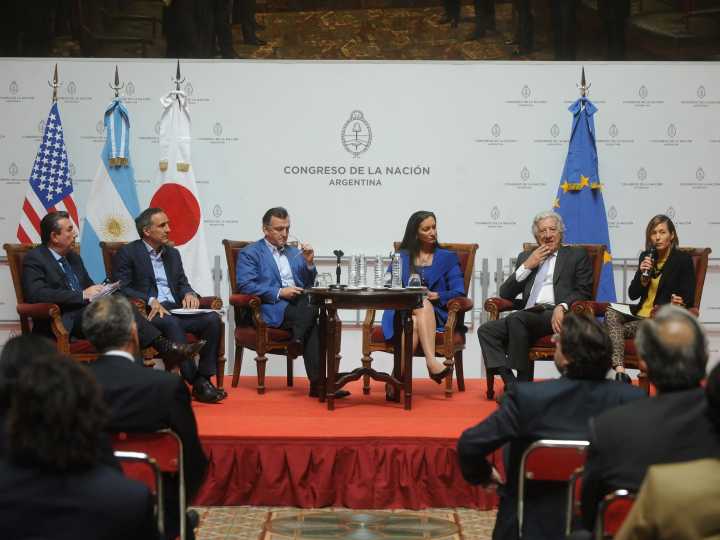 El lenguaje político: cómo las palabras ocultan más de lo que revelan