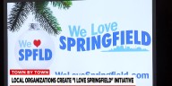 We Love Springfield Campaign launched