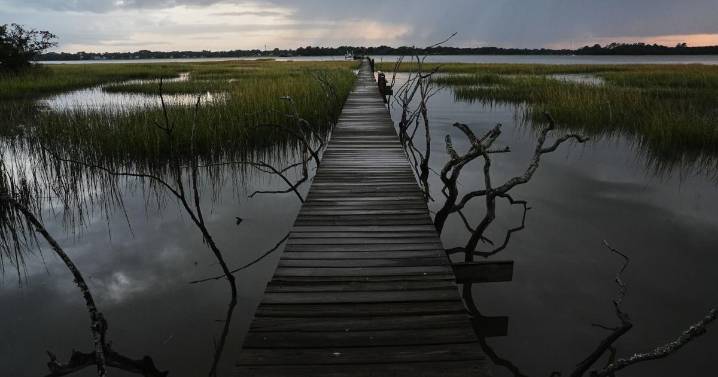 EPA moves to limit scope of clean water law to reduce amount of wetlands it covers