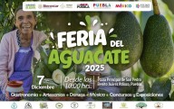 Ariadna Ayala lanza la Feria del Aguacate 2025 para apoyar al campo