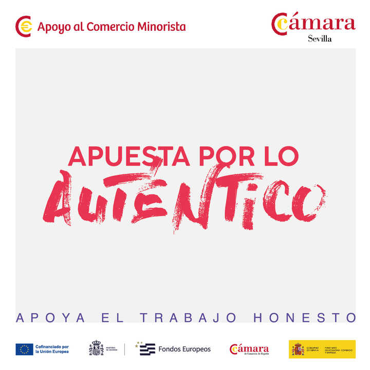 La Cámara insta al Ayuntamiento a intensificar el control de la venta ambulante no regulada