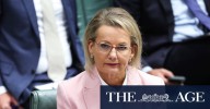 Sussan Ley leadership: Opposition leader insists she will stay in job amid net zero policy dispute