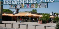 Escaped chimpanzee prompts lockdown at Indianapolis Zoo