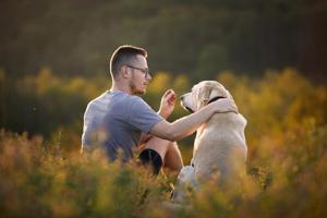 Rural Pet Owners Have A Tougher Time Seeing A Vet, Study Says