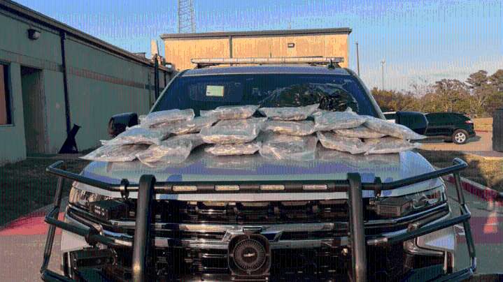 38 pounds of marijuana seized in Van Zandt County traffic stop