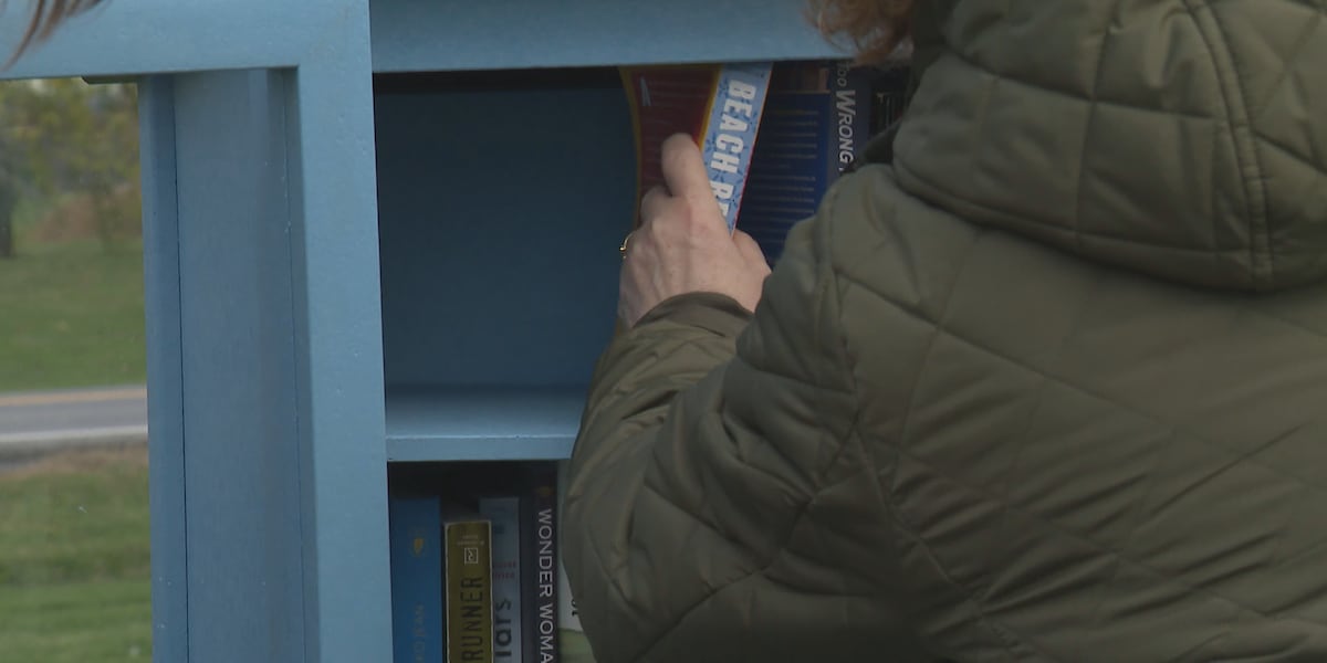 New Little Library opens in Addison to expand rural reading access